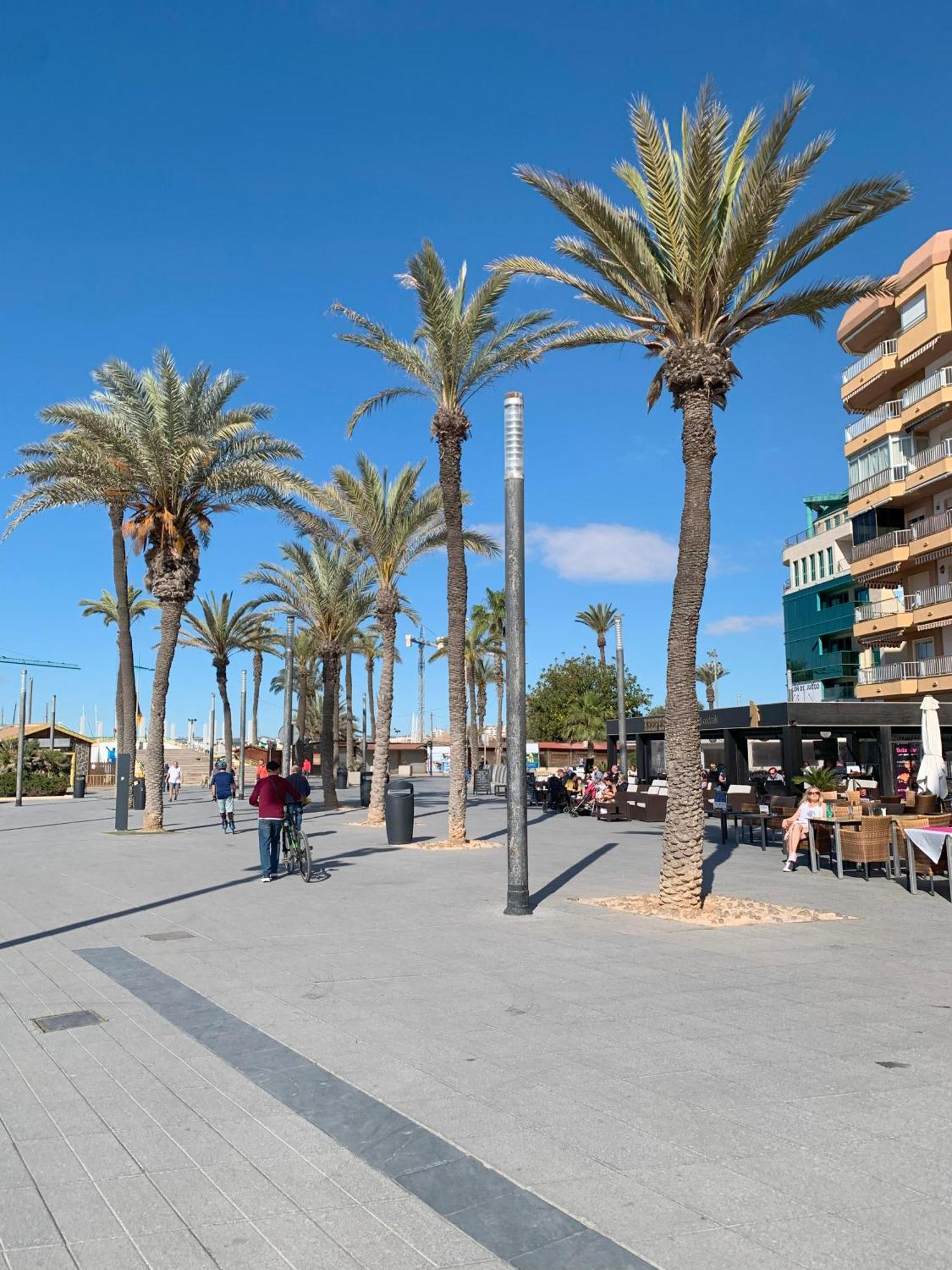Princesa Blanka By Zanis Torrevieja Exterior foto